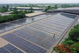 Prensa singapurense destaca optimismo sobre sector de energías renovables de Vietnam