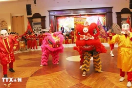 La danza del león, una característica cultural única durante la tradicional fiesta del Tet de Vietnam. (Foto: VNA)