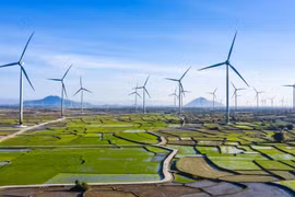 Garantizar la seguridad energética para el desarrollo nacional en la nueva era (Fuente: Internet)
