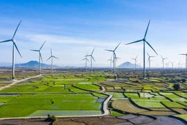 Garantizar la seguridad energética para el desarrollo nacional en la nueva era (Fuente: Internet)