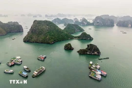 El hermoso paisaje natural de la Bahía de Ha Long atrae a muchos turistas (Foto: VNA)