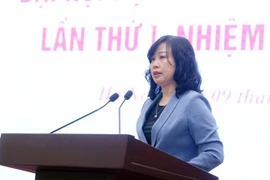 La ministra de Salud, Dao Hong Lan, responde a las preguntas de reporteros acerca de la implementación de las políticas sociales (Foto: VNA)