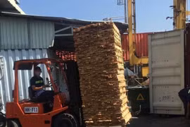 A partir del 31 de marzo, se redujo al 0% el impuesto de importación para ciertos productos de madera provenientes de Estados Unidos (Foto: VNA)