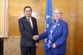 El presidente de la Asamblea Nacional de Vietnam, Tran Thanh Man, se reúne con Tatiana Valovaya, directora general de la Oficina de las Naciones Unidas en Ginebra. (Foto: VNA)