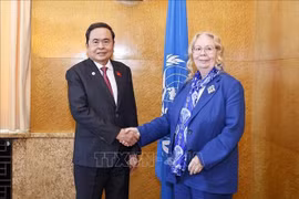 El presidente de la Asamblea Nacional de Vietnam, Tran Thanh Man, se reúne con Tatiana Valovaya, directora general de la Oficina de las Naciones Unidas en Ginebra. (Foto: VNA)