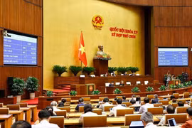 Durante el noveno período de sesiones de la Asamblea Nacional de la XV Legislatura (Foto: VNA)