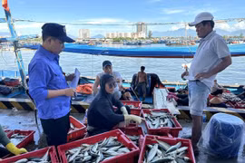 Realizan inspección en un puerto. (Foto: VNA)