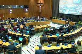 Panorama de la tercera reunión de los Estados Partes en el Tratado sobre la Prohibición de las Armas Nucleares (Foto: VNA)