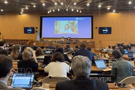 En la reunión de la UNESCO. (Foto: VNA)