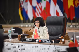 La jefe de la Misión Representante de Vietnam ante la ASEAN, embajadora Ton Thi Ngoc Huong, habla en la reunión. (Foto: VNA)
