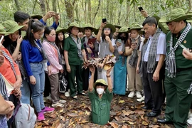 Vietnam promueve el valor de los recorridos turísticos históricos