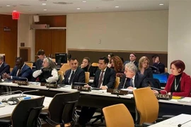 Vietnam es designado coordinador de la cumbre de respuesta a la pandemia de la ONU. (Foto: VNA)