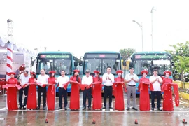 La línea de autobús N.º 20, rama 20ATC, que conecta el área de Nhon con la comuna isleña de Minh Chau, fue oficialmente puesta en funcionamiento. (Foto: VNA)