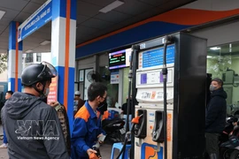 Empresas vietnamitas impulsan la venta de E10 RON95. Foto: VNA