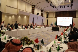 Panorama del evento (Foto: VNA)