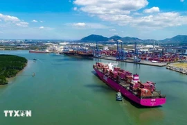 El barco ONE EAGLE pertenece a la nueva ruta de servicio operada por Premier Alliance en el puerto internacional Tan Cang-Cai Mep. (Foto: VNA)