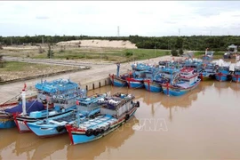 Barcos pesqueros instalados con equipos de monitoreo de viaje en la provincia central de Quang Binh. (Foto: VNA)