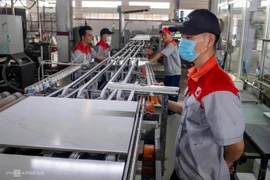 Un fábrica de la empresa Dong Tam en la provincia de Long An. (Foto: VNA)