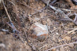 Una bomba detectada. (Foto: 