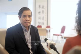 El profesor Vu Minh Khuong de la Escuela de Políticas Públicas Lee Kuan Yew (Singapur). (Foto: VNA)