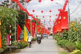 Una carretera rural en la comuna de Tra Con, provincia de Vinh Long, engalanada con banderas y flores, refleja el ambiente festivo y de expectación ante la próxima jornada electoral. (Foto: VNA)
