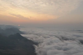 Turistas cazan nubes en la meseta vietnamita de Moc Chau