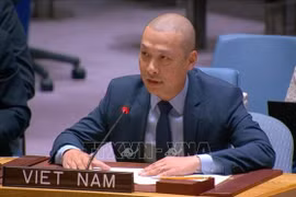 El ministro consejero Nguyen Hoang Nguyen, representante permanente adjunto de Vietnam ante la ONU. (Foto: VNA)