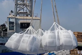 Carga de arroz de exportación a bordo de un barco en un puerto marítimo de Ciudad Ho Chi Minh. Foto: nongnghiepmoitruong.vn.