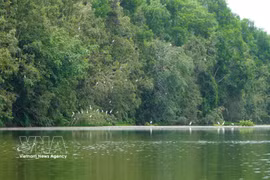 La reserva ecológica de Dong Thap Muoi tiene una superficie de más de 106 hectáreas y se ampliará en otras 60 hectáreas. Foto: VNA