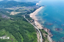 El sistema de carreteras costeras de Vietnam tiene una longitud total de unos 2.838 kilómetros; hasta la fecha, se han completado y puesto en funcionamiento 1.397 kilómetros (Foto: VNA)
