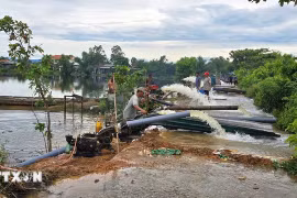 La Cooperativa Agrícola Phu Ho, en la ciudad de Hue, moviliza recursos humanos y bombas para drenar las aguas de las inundaciones y proteger el arroz de los agricultores. (Foto: VNA)