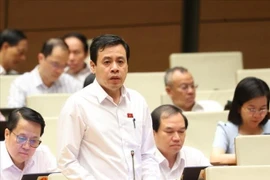 El diputado Tran Anh Tuan de Ciudad Ho Chi Minh habla en una sesión de debate. (Foto: VNA)