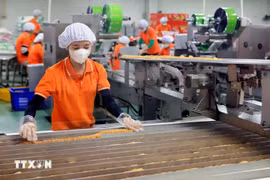 La economía privada está bajo grandes expectativas para impulsar y desarrollarse, llevando la economía del país hacia una nueva era de fortaleza. (Foto: VNA)