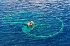 Vietnam amplía esfuerzos para avanzar hacia una pesca responsable