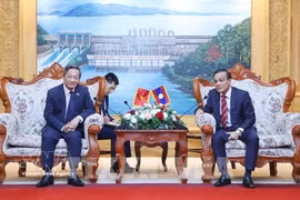 El embajador de Vietnam en Laos, Nguyen Minh Tam, sostiene una reunión de trabajo con Phouthanouphet Xaysombath, miembro del Comité Central del Partido Popular Revolucionario de Laos, secretario del Comité partidista y presidente del Consejo Popular de la provincia de Vientiane. (Foto: VNA)