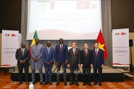 El presidente de la Asamblea Nacional vietnamita, Tran Thanh Man, (tercero desde la derecha) y su homólogo senegalés, El Malick Ndiaye, (cuarto desde la izquierda) junto con delegados en undiálogo político para promover la cooperación entre Vietnam y Senegal. (Foto: VNA)