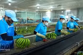 Vietnam busca impulsar exportaciones en el segundo semestre