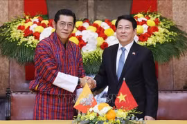 El presidente de Vietnam, Luong Cuong, (derecha) y el Rey de Bután, Jigme Khesar Namgyel Wangchuck. (Foto: VNA)