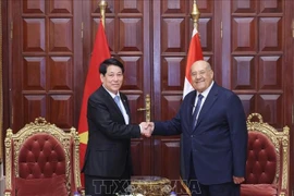 El presidente vietnamita, Luong Cuong, se reúne con el titular del Senado egipcio, Abdel-Wahab Abdel-Razek. (Foto: VNA)