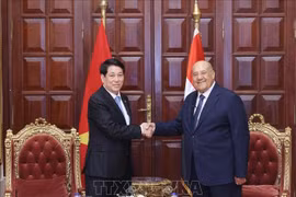 El presidente vietnamita, Luong Cuong, se reúne con el titular del Senado egipcio, Abdel-Wahab Abdel-Razek. (Foto: VNA)