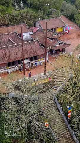 Vietnam en la era digital: Adaptación para el desarrollo y garantía de la libertad de creencias y de religión