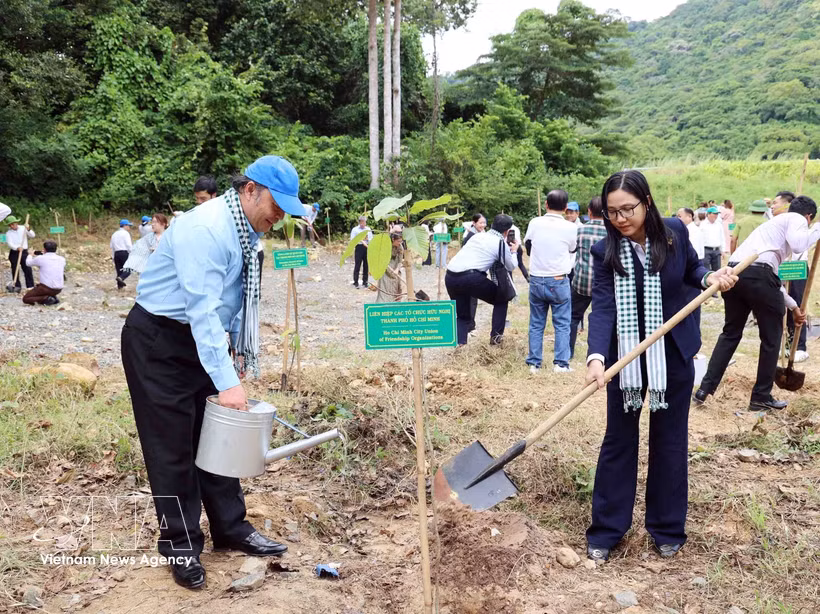 Dirigentes de la Unión de Organizaciones de Amistad de Ciudad Ho Chi Minh plantan árboles en el "Jardín de la Amistad", en la Zona Especial de Con Dao. Foto: VNA