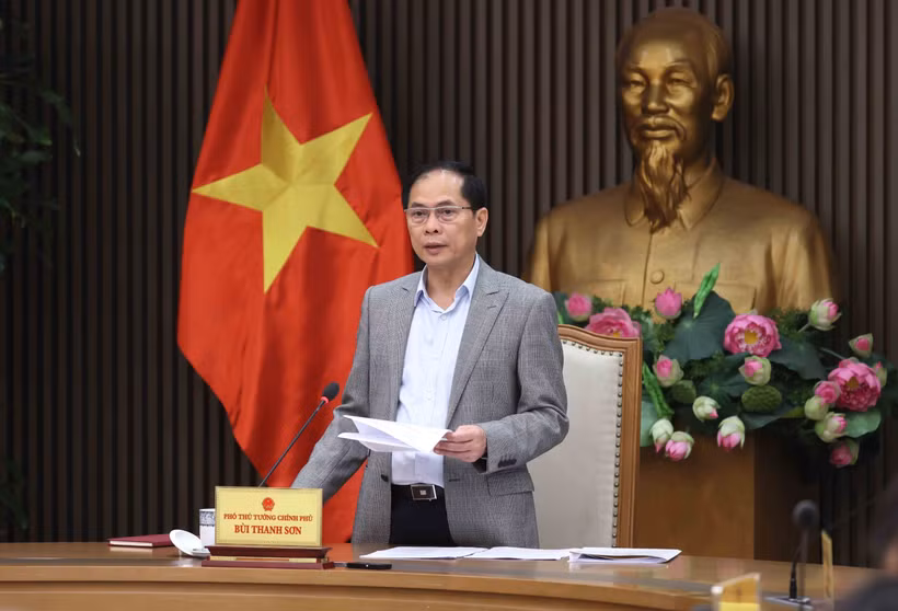 El viceprimer ministro de Vietnam Bui Thanh Son habla en la reunión. (Fuente: VNA)
