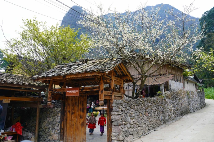 Belleza de Lung Cu avanza hacia el desarrollo del turismo verde en el Norte de Vietnam