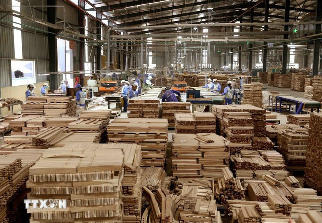 Producción de madera de Vietnam para exportar al mercado europeo. (Fuente: VNA) viet-nam-sec-2.jpg