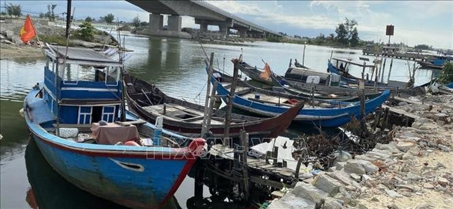 Los barcos pesqueros han anclado de forma segura. Foto: VNA. uuid3df01c807d-abdb-4970-b1df-9a1046edc68c26code3d00126library3d126type3d126mode3d126loc3dtrue26cap3dtrue.jpg