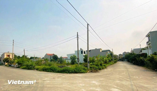 El precio del terreno en algunas localidades de la provincia de Ninh Binh aumenta por día (Foto: Vietnam+) gia-dat.jpg