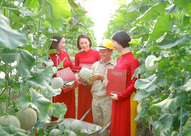 Agribank se destaca como uno de los bancos que más recursos destina al desarrollo de una agricultura ecológica. (Foto: Vietnam+) agribank-anh-2.jpg