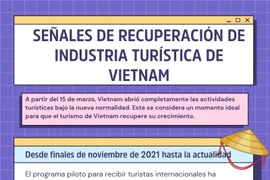 Señales de recuperación de industria turística de Vietnam