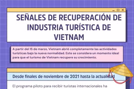 Señales de recuperación de industria turística de Vietnam